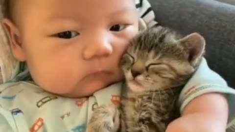 When baby and cat get together