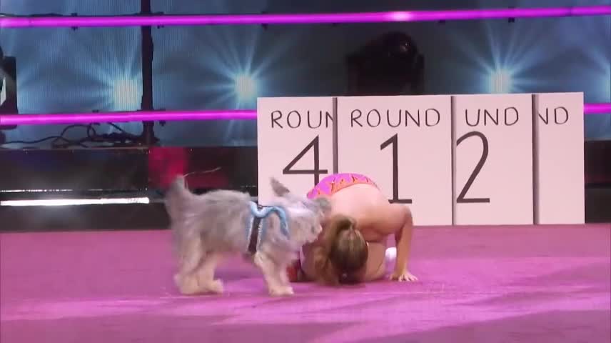 The puppy would count would do this, it's magic!!!!!!