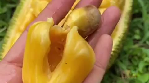 Satisfying fruits cutting