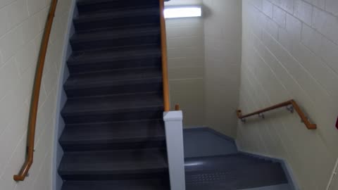 3889FHOB05Stair10_2021-01-05_18h00min01s387ms.mp4