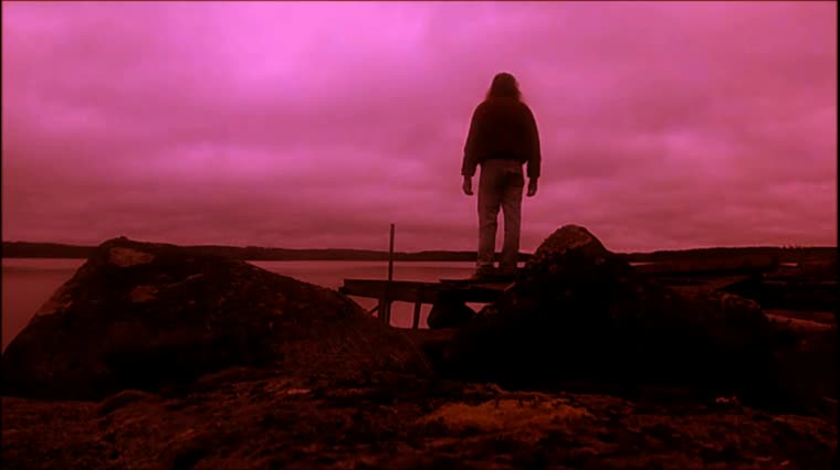 Inhorealismia - Indy Angel