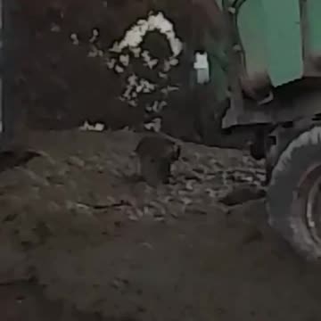 Nonostante l'appello dei sindacati agricoli francesi agli agricoltori affinché....