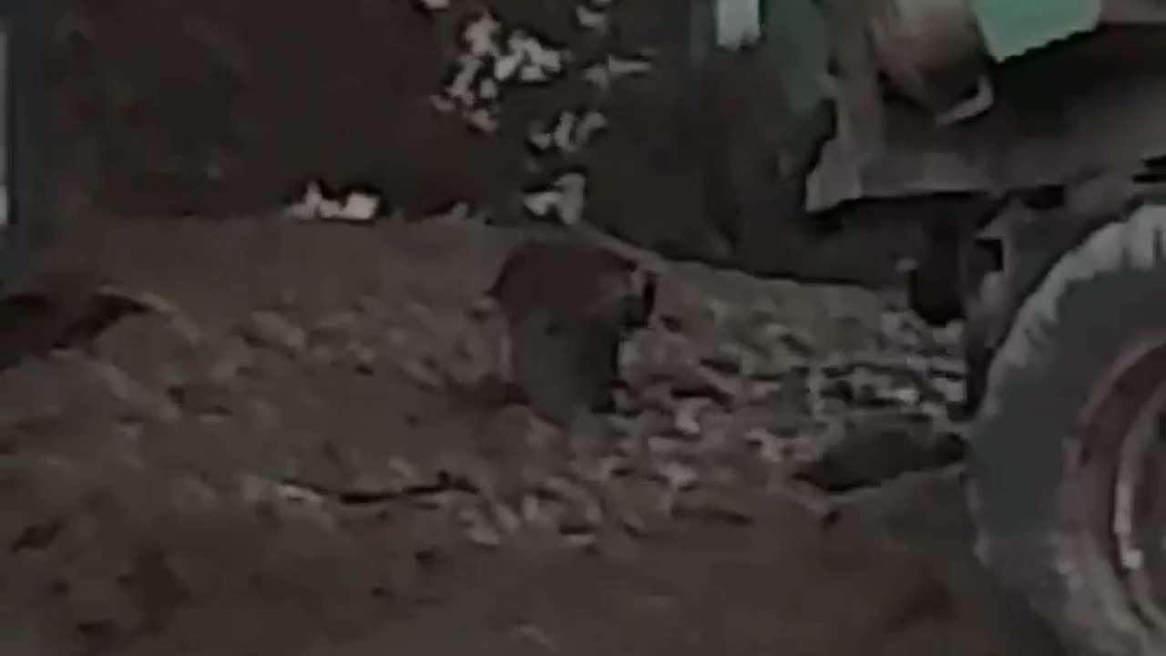 Nonostante l'appello dei sindacati agricoli francesi agli agricoltori affinché....