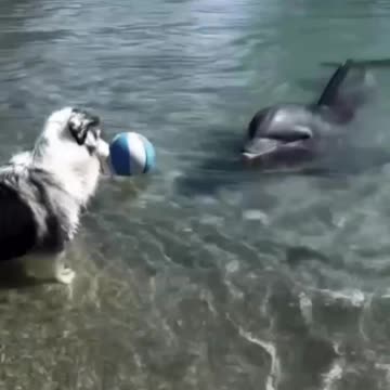 Pick up beach volleyball game