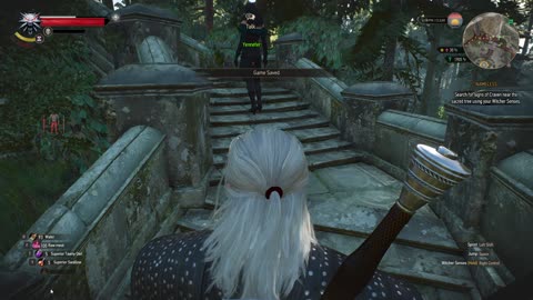 The Witcher 3 missing persons part 1