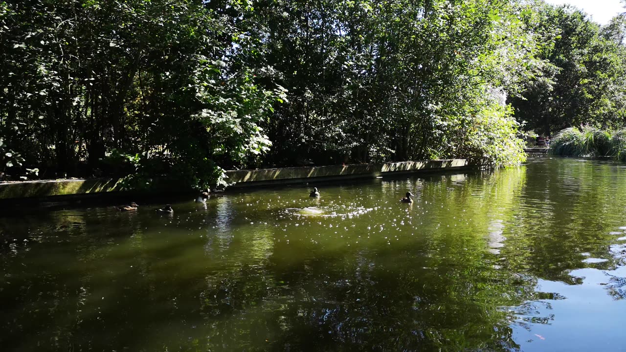 Natural Environment is always happiness