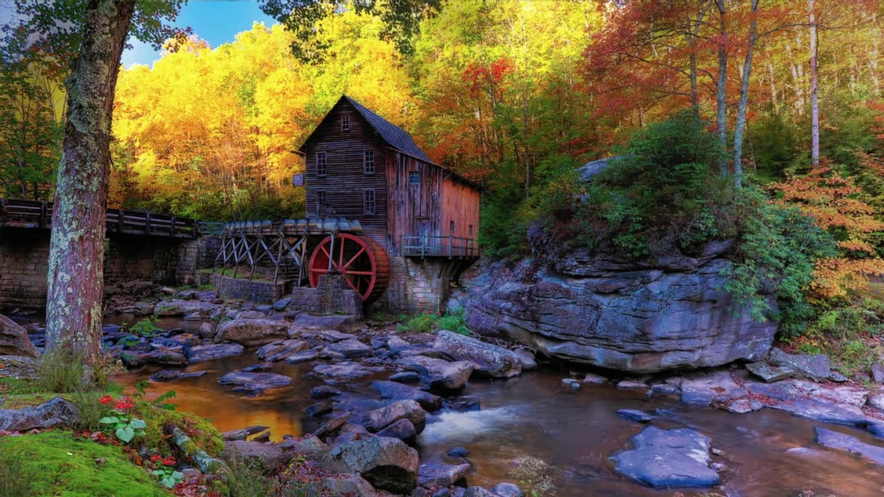 Study and relax to the sound of nature