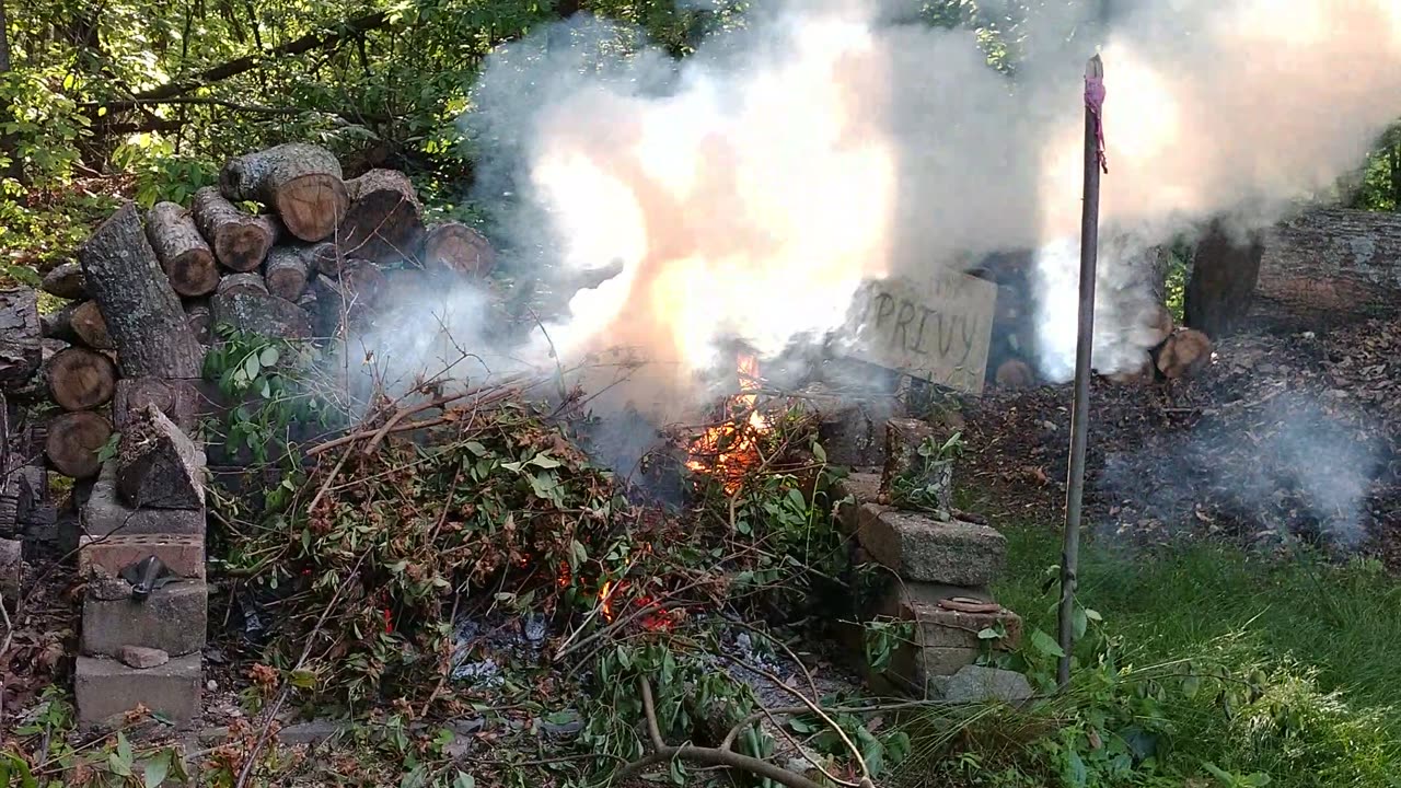 Feeding the trees