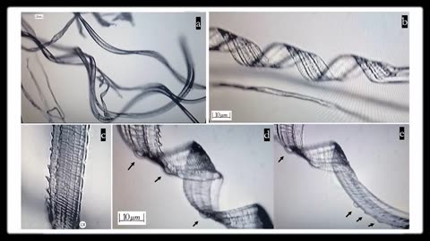 Recent Study Shows Self-Assembly Nanobots in the COVID-19 Injectables