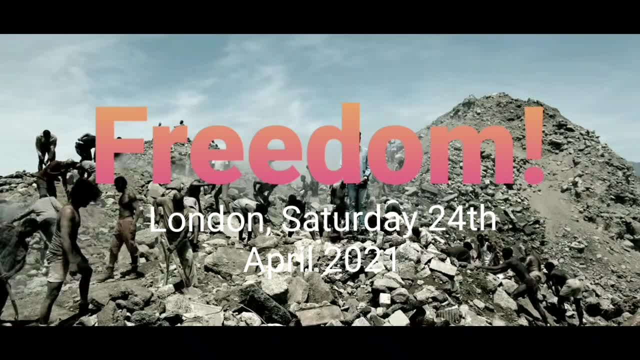 Freedom Rising...