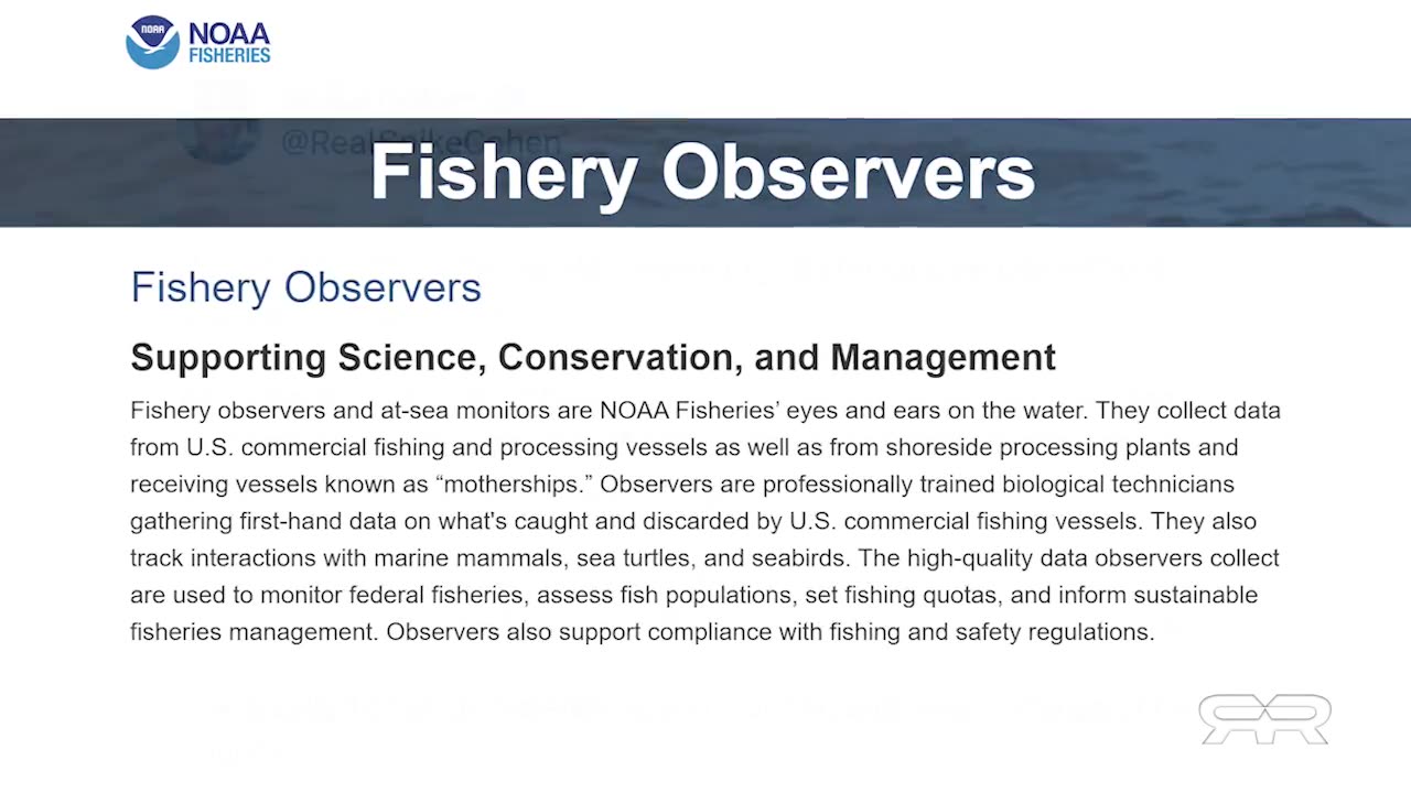 Key Decisions of Supreme Court 2024