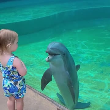 Dolfin Funny moments with children 🤣