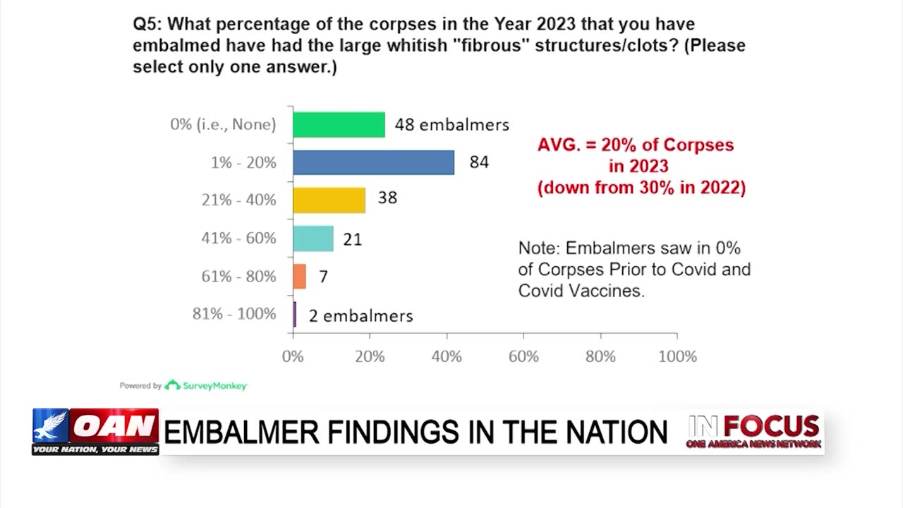 IN FOCUS: White Fibrous Blood Clots Found in Deceased with Tom Haviland - OAN