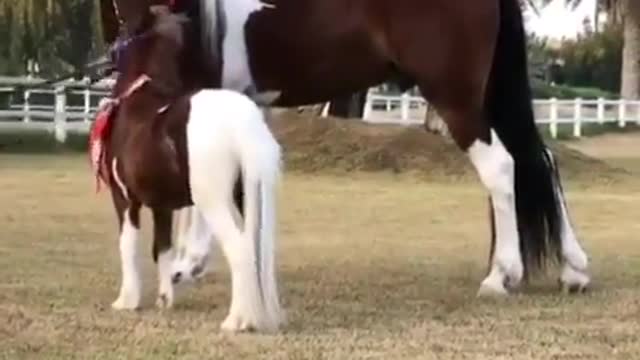 Wow mom and child