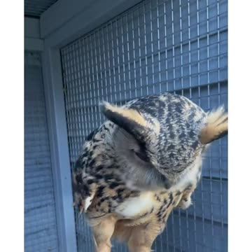 🤣🤣🤣❤❤❤❤