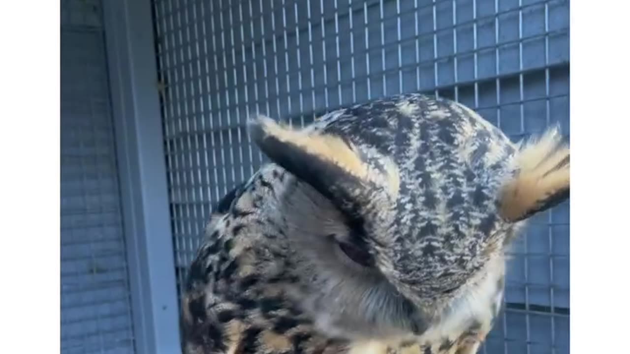 🤣🤣🤣❤❤❤❤