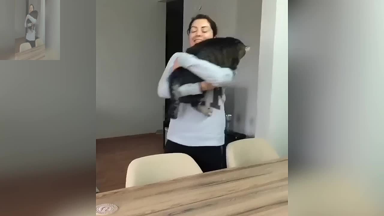 A cat who likes to cuddle