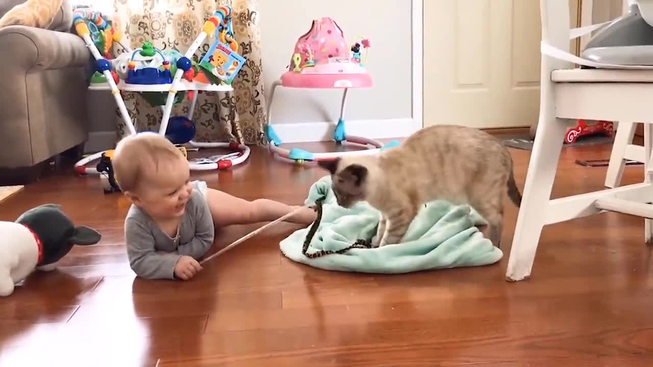 Wow Its Great, Baby And Cat are Play With Rope