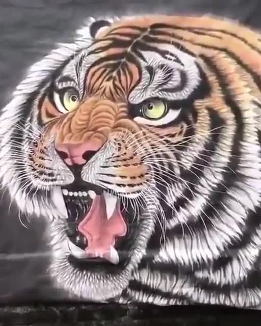 Old woman beautiful picture tiger