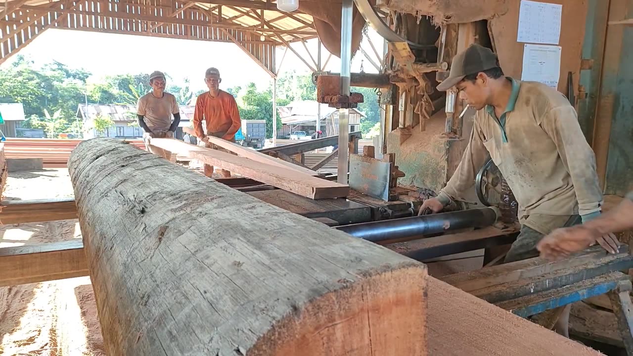 The Amazing Shape Of This Red Meranti Wood Is Sawn Into Various Sizes