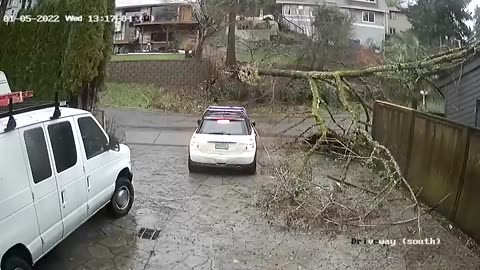 Luckiest People Ever Caught on Camera