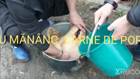 Vasile nu mai mănâncă carne de porc …