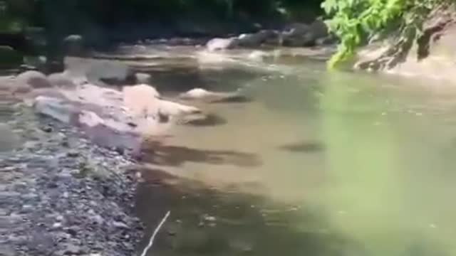 ruuuuuuu run