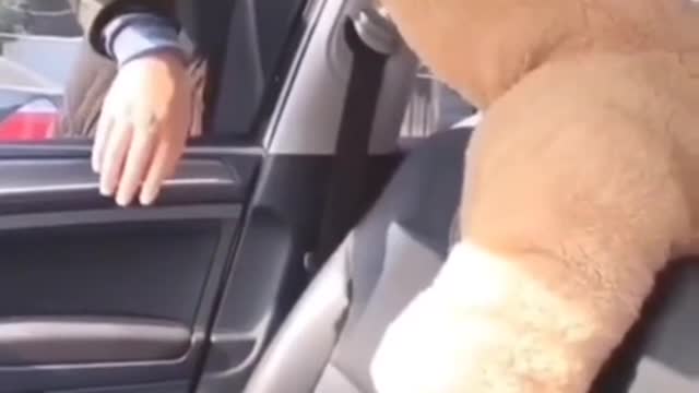 Here, Dad, you dropped it