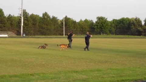 Multi-Agency K-9 Police Exhibition