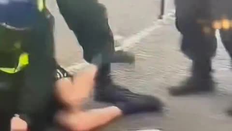 Starmers thugs attacking the public in Sunderland yet again.