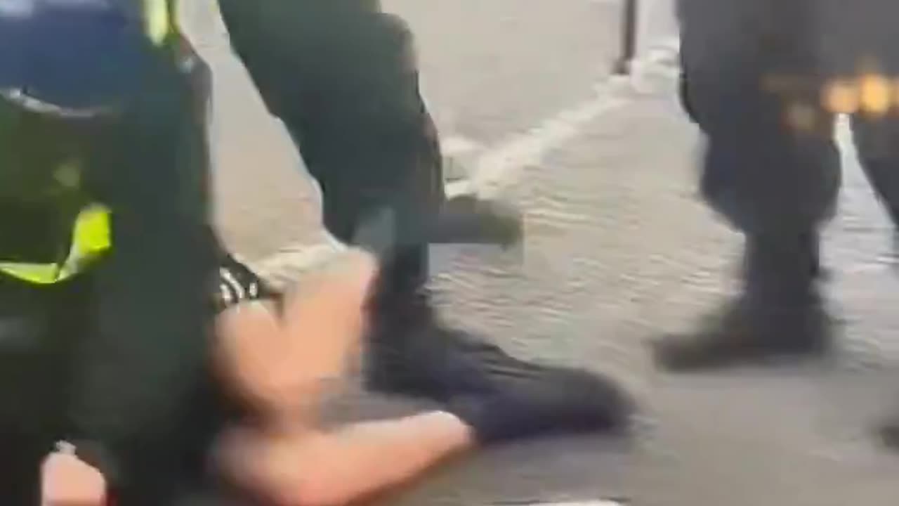 Starmers thugs attacking the public in Sunderland yet again.