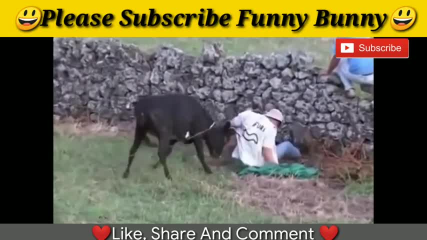 The Best Funny Videos 2020 The most amazing funny crazy bull at the bullfighting festival fails.