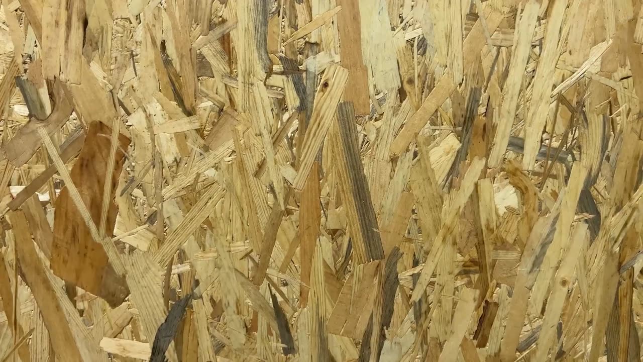 Do termites eat all kinds of wood? | Varsity Pest