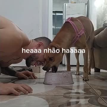 oh cleitim don't touch my food... this one of mine gets out