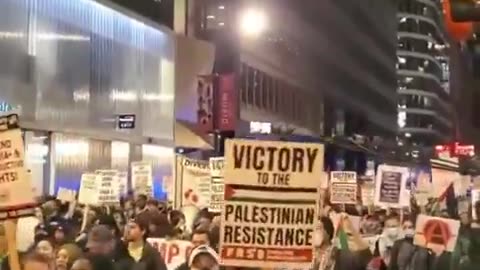 Democrat Leftists & Soros Communist protesting Trump showed up in Chicago last night. USA