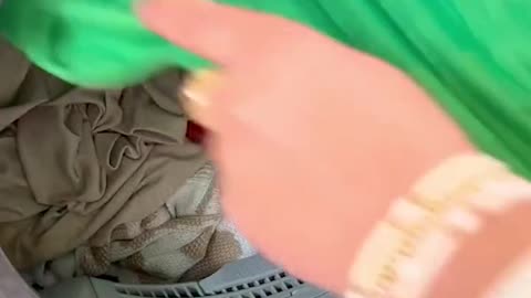 The Laundry Turtle