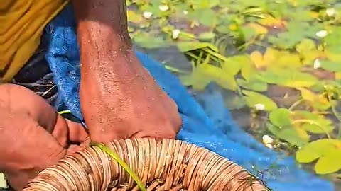 Amazing Polo Fishing 👌