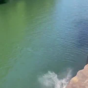 FAFO: Cliff Diving Fail