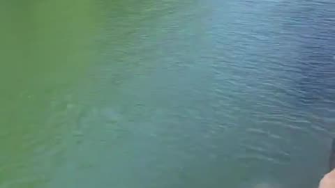 FAFO: Cliff Diving Fail