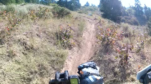 Idaho City trails 8-25-24 TX300