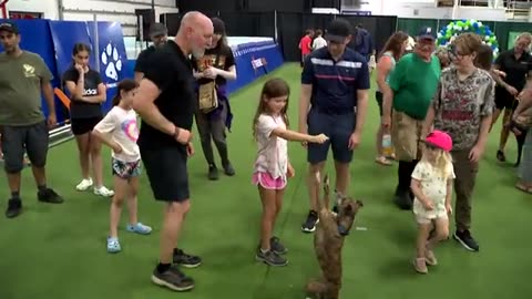 Dock diving, tricks and happy dogs all part of the fun at Old Home Week fair