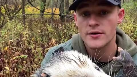 Very interesting video about Opossums
