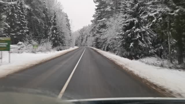 a trip through the winter forest