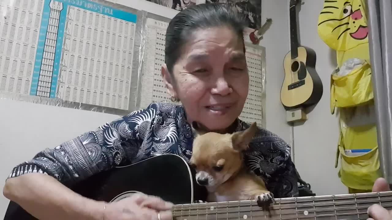 A Woman playing guitar for her dog will make your day