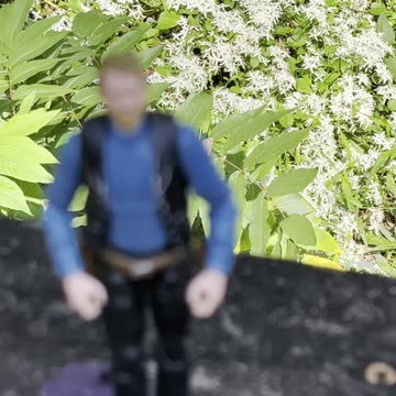 Sound of Music Saturday