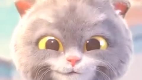 Cute cat