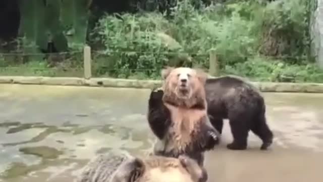 come, play too