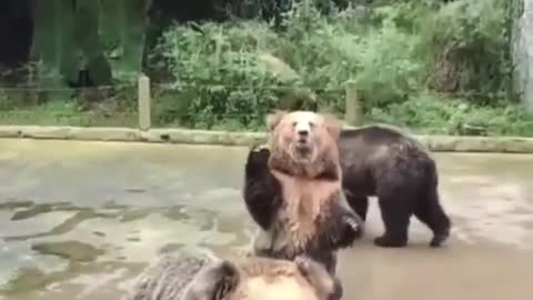 come, play too