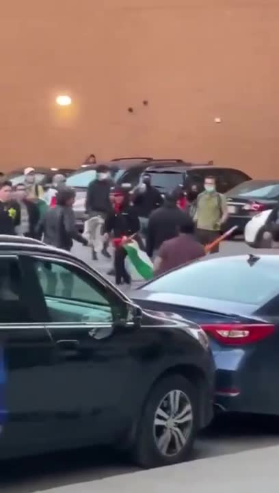 Pro-Israel Protestors Assaulted By Pro-Palestinian Protestors