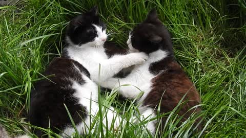 As expected, the grass is soft.